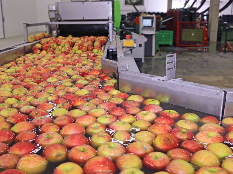 Ensuring food safety